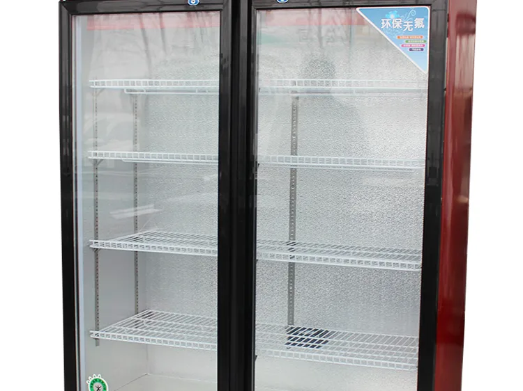 Tempered glass door